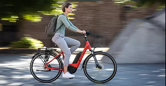 elektrische fietsen